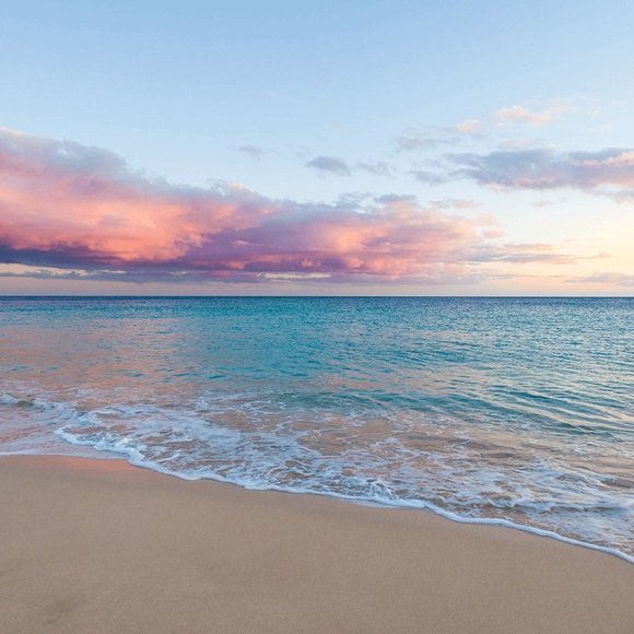 Meet your Posher, Cait - Picture 1 of 1